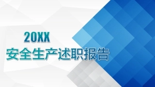 20.安全总监述职报告模版.ppt