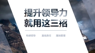 26.有感领导、直线责任与属地管理.ppt