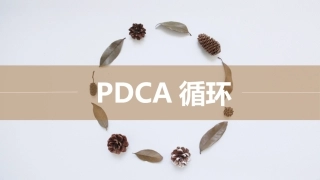 111.安全人应该知道的PDCA循环管理.pptx