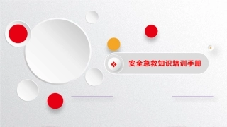 190.2023安全急救知识培训手册（29页）.pptx