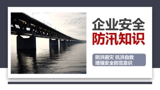 企业安全生产防汛知识丨31页.pptx