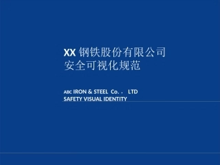 10.某公司安全可视化规范.ppt