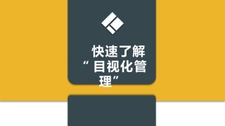 16.快速了解“目视化管理” .pptx
