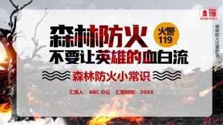 3.森林防火不要让英雄的血白流.pptx