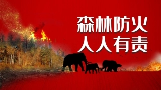 8.森林防火宣传.pptx