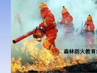 9.森林防火培训.ppt