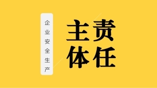 29.企业安全生产主体责任.pptx