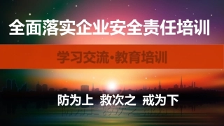 48.全面落实企业安全生产主体责任专题培训(101页).pptx