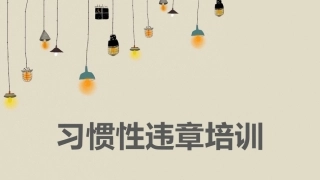 5 习惯性违章培训.pptx