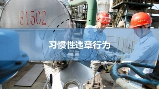 28之习惯性违章作业.ppt