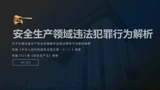 44 重磅！安全生产领域违法犯罪解析.pptx