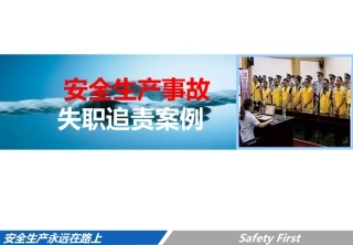 45.失职追责案例专题培训.ppt