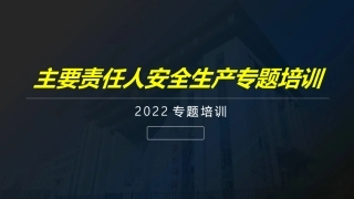102.主要负责人及各级领导安全生产专题培训.pptx