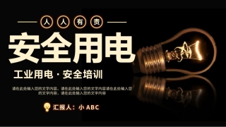 13.安全用电.pptx