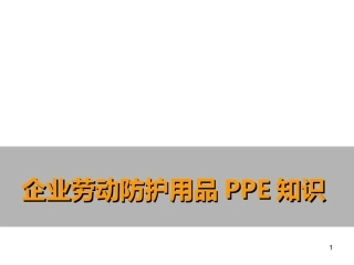 10  企业劳动防护用品PPE知识.ppt