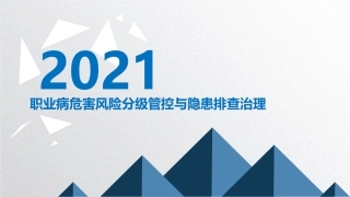 43职业病危害风险分级与隐患排查治理.pptx