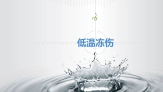 59.低温冻伤.pptx