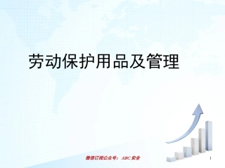 142.劳保用品及管理.ppt