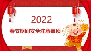 2 春节期间安全注意事项.pptx