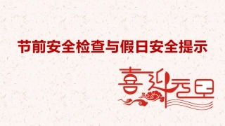 16. 节前安全检查与假日安全.pptx