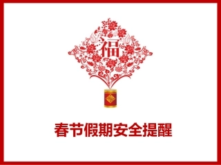 29春节假期安全教育.ppt