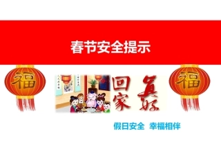 31 春节安全提醒.ppt