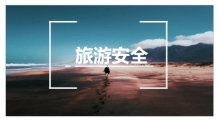 35.旅游安全.pptx