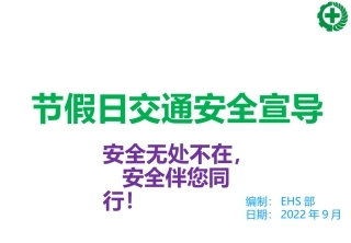 45.15877 国庆节假日安全出行培训指南.pptx