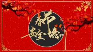 63.春节前安全培训（31页）.pptx