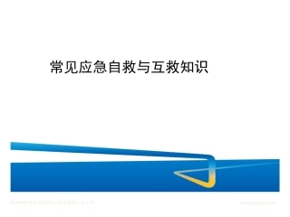 13 常见应急自救与互救知识.pptx