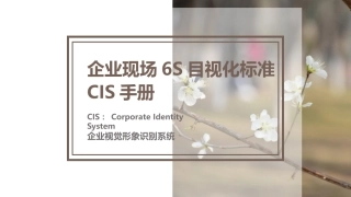 48.企业现场6S目视化标准CIS手册.pptx