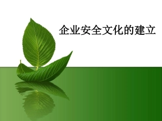 8.企业安全文化的建立.ppt