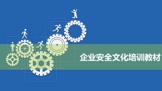 13.大型企业安全文化.pptx