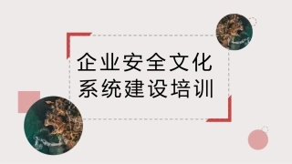 31.企业安全文化系统建设培训.pptx