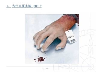 62.安全行为管理(BBS).ppt