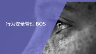 72.行为安全管理BOS.pptx