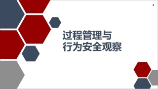 108.过程管理与行为安全观察.pptx