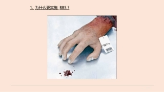 123.安全行为管理(BBS).ppt