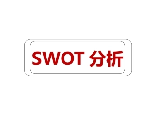 145.SWOT分析.pptx