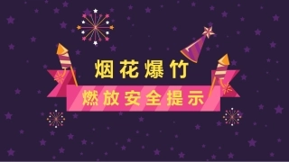 6.燃放烟花爆竹的安全提示.pptx