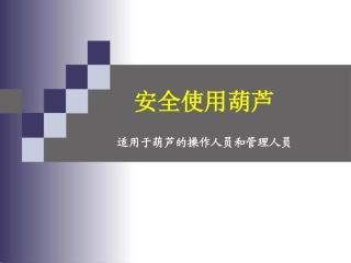 2.安全使用葫芦.ppt