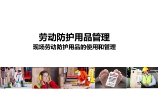 62.现场劳动防护用品的使用和管理.ppt