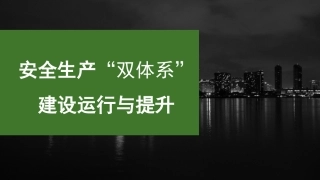 35.双重预防机制双体系建设运行与提升.pptx