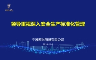 13.宁波欧玲安全生产标准化介绍.pptx