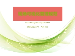 29.现场划线颜色标准可视化管理.pptx