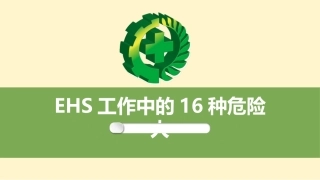 16.EHS工作中16种危险人.ppt