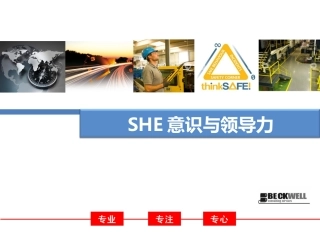 26.EHS意识与领导力mostmost.ppt