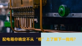 73.配电箱你确定不从“根”上了解下一我吗？.pptx