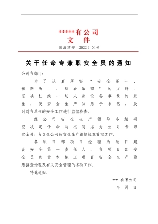 2、关于任命专兼职安全员的通知4号.doc
