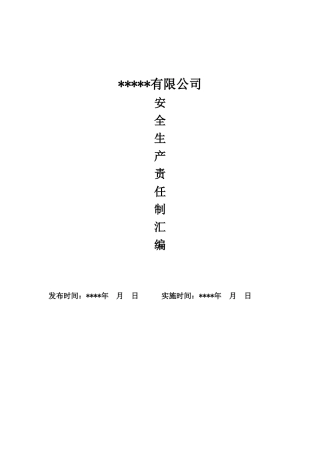 6、公司安全生产责任制.doc